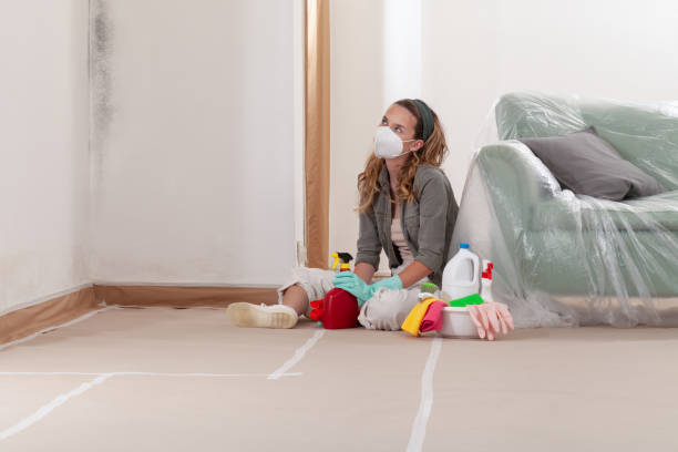 Reliable Mold Inspection contractor in Blue Ridge Summit, PA by WQB Mold Removal