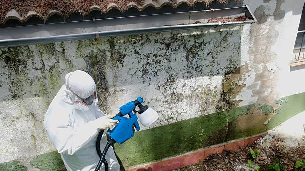 Top rated local Mold Inspection specialists in Blue Ridge Summit, PA